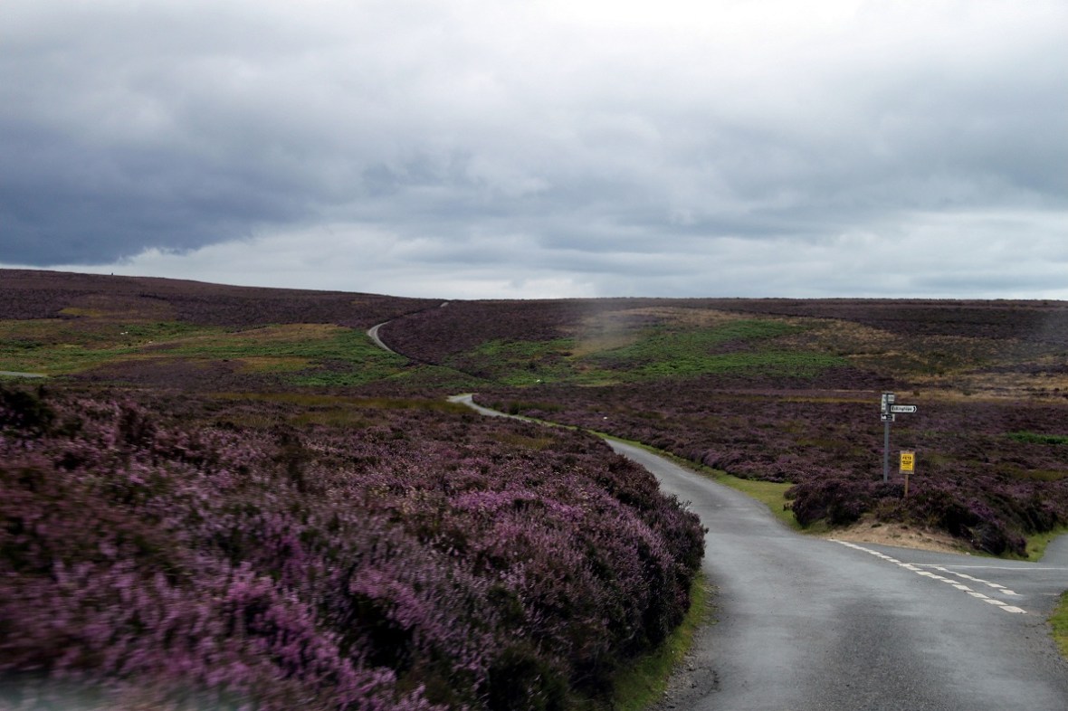 Carding Mill Valley (2)